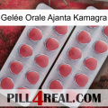 Gelée Orale Ajanta Kamagra 19